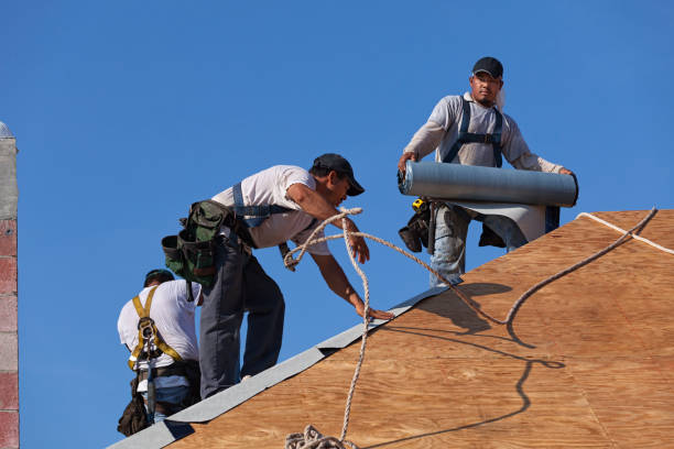 Best Flat Roof Repair Services  in Daingerfield, TX