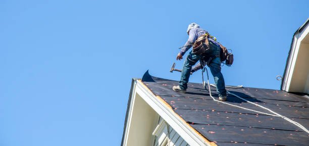 Best Roof Maintenance Services  in Daingerfield, TX